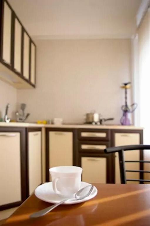 Apartment On Sobornyi Avenue Zaporizhia Extérieur photo
